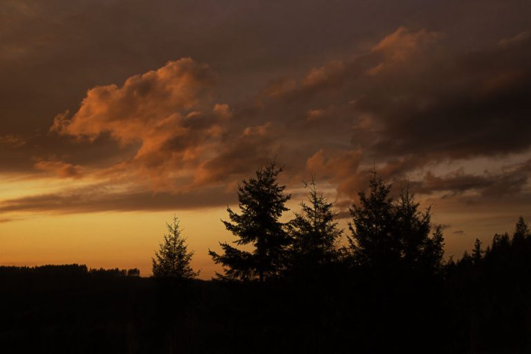 Amazing Sunrise Photography Silhouette