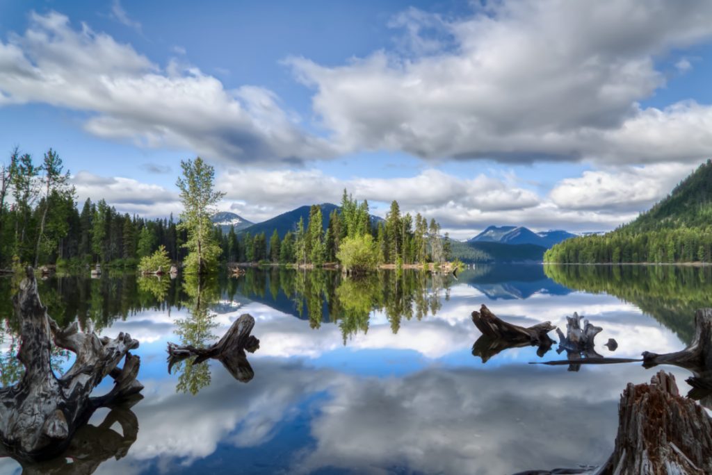 Lake Reflections